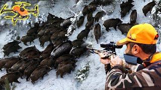 Expert Hunters, He shows the Secrets of Wild Boar Hunting with DRONE!