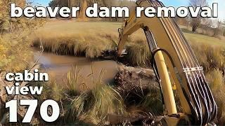 So Much Silt From These Two Beaver Dams - Beaver Dam Removal With Excavator No.170 - Cabin View