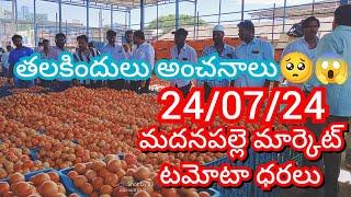 24-07-24 Madanapalle Tomato Market price Today || Today Tomato Market Rate in Madanapalle #today