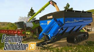 HARVESTING SOYBEAN AND TAKE CARE OF FARM | Farming Simulator 20 | Fs 20 | Timelapse