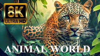 ANIMAL WORLD 8K ULTRA HD - Amazing Wildlife