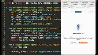 Write a Custom Burp Suite Extension in Python