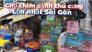 Chợ chim cảnh , thú cưng lớn nhất Sài Gòn, vào cửa hàng Hồng Nhung để xem các loại chim cảnh