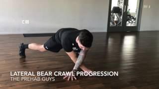 Bear Crawl Progressions & Variations