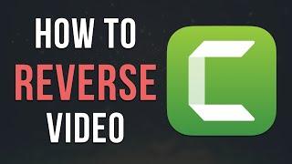 How to REVERSE video in Camtasia