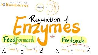 Feedforward & Feedback Mechanisms | Positive & Negative Feedback Regulation of Enzymes | Biochem.