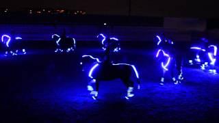 White Stable Horse Neon Show