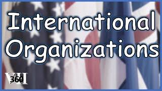 International Organizations: Governmental and NGOs