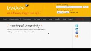 bWAPP Heartbleed Vulnerability