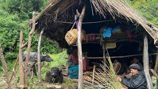 Nepali Mountain Village Life | very Peaceful And RelaxingMountain Village Life .