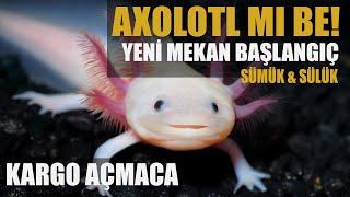 #KÇ14 - AXOLOTL TAYFA SON DURUM! KARGO AÇMACA VE YENİ BAŞLANGIÇ