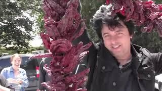 Billie Joe Armstrong -Visiting Viggiano Italy