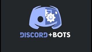 Top 5 Best Discord Bots for you server in 2021