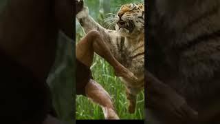 RRR Movie fight scene Tiger | SV Films 1.0