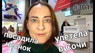 Много готовлю. Сажаю чеснок. Улетела в Сочи, но не без приключений Челлендж 365#301/Ежедневные влоги