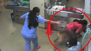 Dog Escapes the Vet | Takes Vet For A Ride