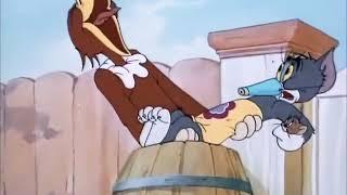 Tom and Jerry cartoon episode 21 - Flirty Birdy 1945 - Funny animals cartoons fo_HIGH