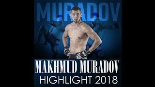 МАХМУД МУРОДОВ НОВЫЕ БОЙ.Maxmud Murodov yangi jang 2018.