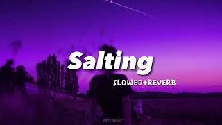 Salting ( Slowed+reverb ) | Tiktok Viral Song | Indo Remix