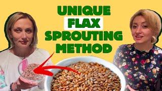 Benefits of sprouted flax. Secrets of patented technology for sprouting flax at home