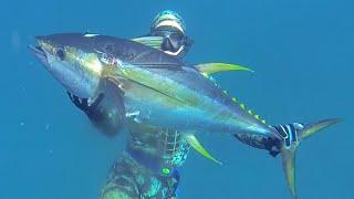 Spearfishing the Abrolhos Islands