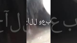 دقيقه واحده تغير حياتك  المشخلعه  كنافه مع الكيك مع جلاش اساور س  وطعم زي ماتقول قول وهم  #sweet