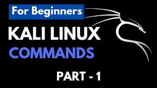Kali Linux Command Line Essentials: 40 Commands Every Beginner Should Know - PART 1