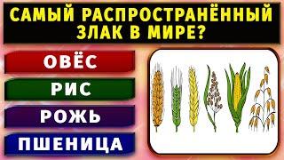 Насколько Вы Умный? Тест на Эрудицию Который Пройдут Только 2% Людей