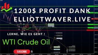 WTI Crude Oil: $1,200 Gewinn Dank Elliottwaver.live Analyse – Lerne, Wie Es Geht