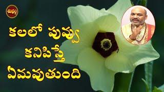 flower dreams | kalalo puvvulu kanipiste | dreams of flowers | pushpam | puvvulu | కలలో పువ్వులు