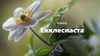 Книга Екклесиаста