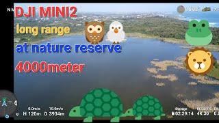 DJI mini 2 long range 4000m at nature reserve