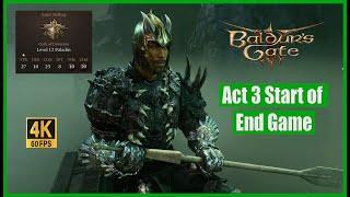 Baldur's Gate 3 Walkthrough Act 3 Start of End Game