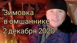 Зимовка в омшанике 02.12.2020.