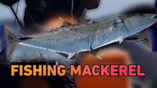 HUNTING SPANISH MACKEREL | OCEAN FISHING