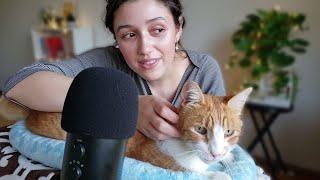 ASMR Cat Pampering  (purring, brushing, soft whispers)