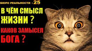 25. В чём смысл жизни? Каков замысел Бога?