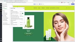 Niche BigCommerce Theme - Home Page Settings