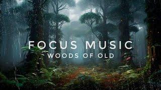 Focus Music | Deep Healing Ambient | Magical Rainy Woods