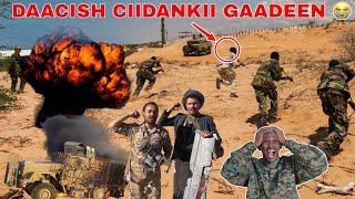 DEGDEG DAACISH CAAWA DAGAAL CULUS KU GAADAY SALDHIGII UGU WAYNAA CIIDANKA PUNTLAND XABLEY,SHIRQOOL.,