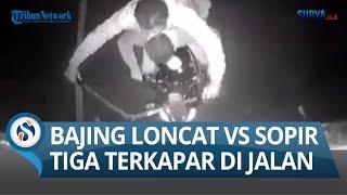 VIDEO CCTV: Bajing Loncat Vs Aksi Sopir Truk, Tiga Terkapar di Jalan, Kok Bisa?