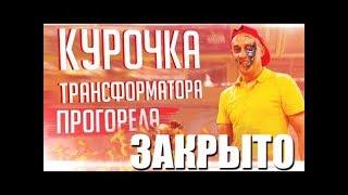 КУРОЧКА РОМЫ ЗАКРЫЛАСЬ! Куценко Продает почку.