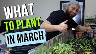 What To Plant In March - What Can I Grow In March ?