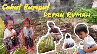 CABUT RUMPUT DEPAN RUMAH PART1