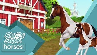 Star Stable Horses App – Updated trailer! (Android/IOS)