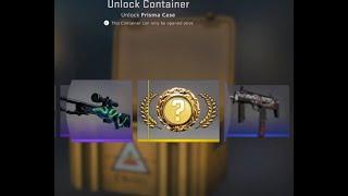 Prisma Case Unboxing / CSGO Knife / Stiletto