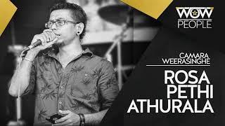 Rosa Pethi Athurala | රෝස පෙති අතුරාලා | Chamara Weerasinghe