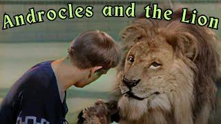 Androcles and the Lion 1952 | colorized