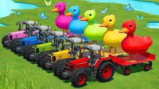 LOAD AND TRANSPORT GIANT DUCKS WITH FENDT TRACTORS AND JCB LOADERS - Farming Simulator 22