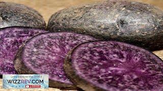 Potato (Mid-Season) Purple Majesty (Organic rounds) – Seeds Review